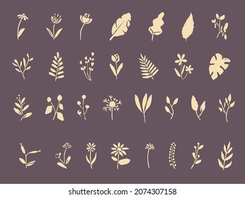 set of organic hand drawn flowers and leaves aesthetic illustration