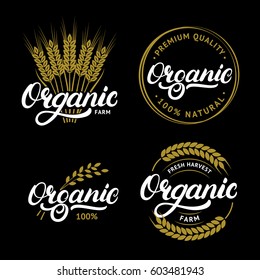 Set of Organic hand written lettering logos, labels, badges or emblems for natural fresh products. Ears of wheat. Isolated on black background. Vector illustration.