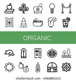 Set of organic icons such as Apple, Seeds, Phylogenetic, Tree, Herbs, Salad, Celery, Natural, Separator, Cuba libre, Animal testing, Cauliflower, Plant, Peach, Juice , organic