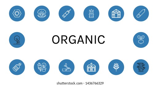 Set of organic icons such as Nut, Oyster, Silicone, Plant, Greenhouse, Smoked sausage, Essential oil, Vegetable oil, Sprout, Dill, Tree, Radish , organic