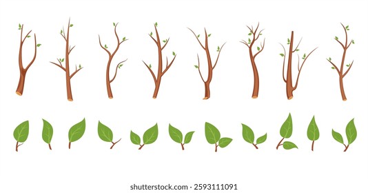 Set of organic minimalist silhouette spring branches and leaves. Simple flower logo design element. Leaves and branches icon on white background. Botanical simple plant icon set. Vector flat graphic