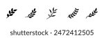 Set of organic minimalist silhouette summer and spring branches with leaves. Simple flower logo design element. Elegant floral twig decoration. Botanical simple. Plant icon set. Vector Graphic. EPS 10
