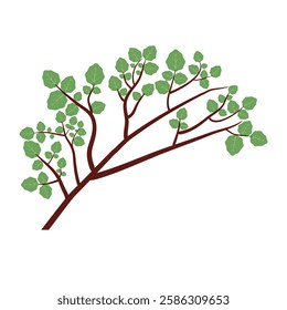 Set of organic minimalist silhouette summer and spring branches with leaves. Simple flower logo design element. Elegant floral twig decoration. Botanical simple. Plant icon set. Vector Graphic. EPS 10