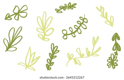 Set of organic minimalist silhouette summer and spring branches with leaves. Simple logo design element.  Botanical simple. Plant icon set. Vector Graphic. 