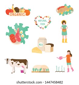 Set of organic, natural, eco foods from village farm