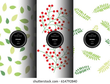 Set of organic patterns for background and stickers with logos. Beech Leaf. Common holly. Acacia leaf. Vector packaging design elements and templates.