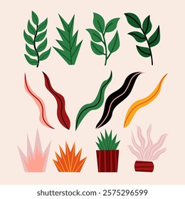 Set of Organic Plants Nature