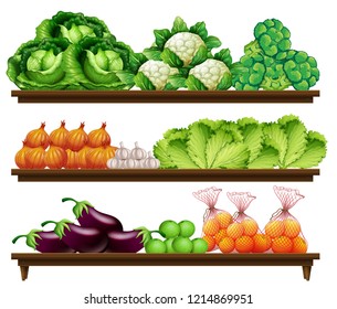 Set of organic vegetable illustration