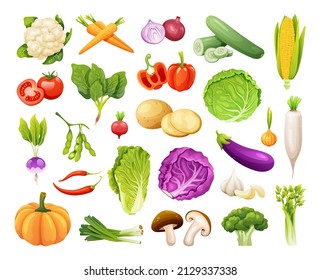 Set of organic vegetables vector illustration