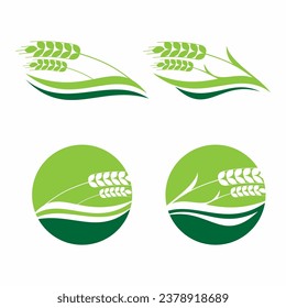Set of organic wheat nature logo vector design template