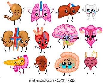 Set of organs. Cute happy smiling characters. Vector pins, cartoon kawaii icons. Healthy heart, intestine, pancreas, brain, stomach, liver, bladder, uterus organ, lungs, kidneys, gall bladder.