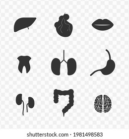 Set of organs simple vector icons in dark color and transparent background(png). Vector illustration.