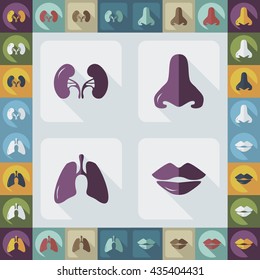 set of organs in the style flat