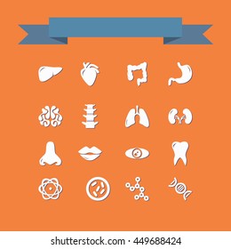 set of organs in the style flat