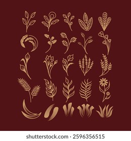 Set of Ornament Plant Illustration