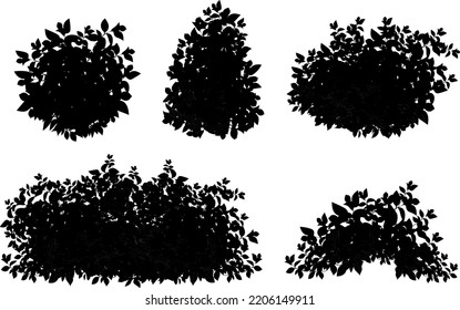 Set of ornamental black plant in the form of a hedge.Realistic garden shrub, seasonal bush, boxwood, tree crown bush foliage.For decorate of a park and  a garden.
