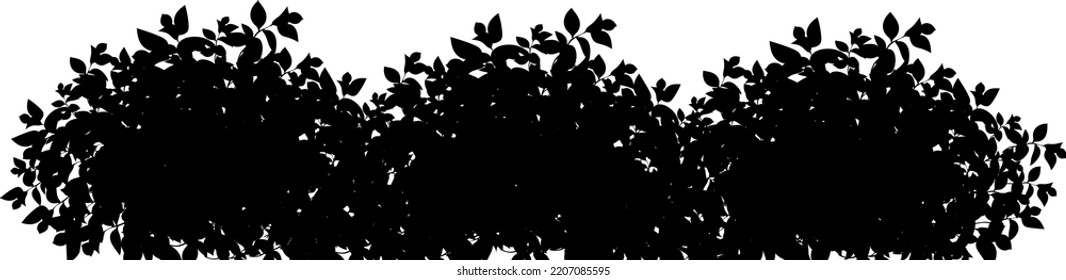 Set of ornamental black plant in the form of a hedge.Realistic garden shrub, seasonal bush, boxwood, tree crown bush foliage.For decorate of a park.