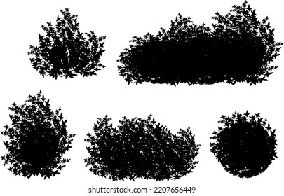 12,018 Boxwood tree Images, Stock Photos & Vectors | Shutterstock