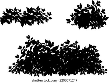 Set of ornamental black plant in the form of a hedge.Realistic garden shrub, seasonal bush, boxwood, tree crown bush foliage.For decorate of a park, a garden or a  fence.
