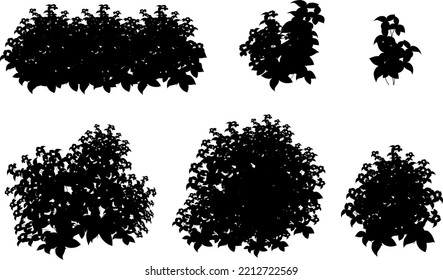 Set of ornamental black plant in the form of a hedge.Realistic garden shrub, seasonal bush, boxwood, tree crown bush foliage.For decorate of a park, a garden or a green fence.
