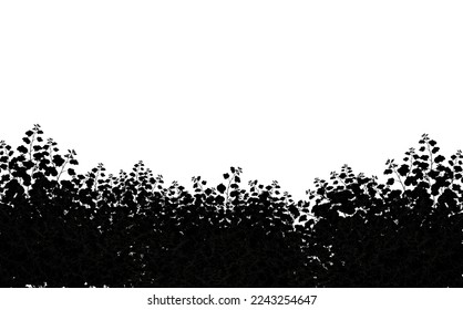 Set of ornamental black plant in the form of a hedge.Realistic garden shrub, seasonal bush, boxwood, tree crown bush foliage.For decorate of a park, a garden or a  fence.
