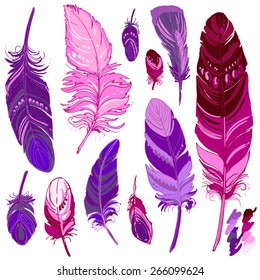 Set of ornamental feathers. Ethnic jewelry, folk costume, the Indians. Plumage on a white background.  Vector decorative elements hippie, dream, boho style
