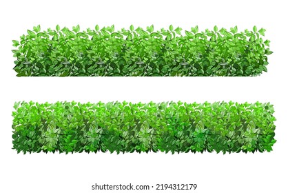 Set of ornamental green plant in the form of a hedge.Realistic garden shrub, seasonal bush, boxwood, tree crown bush foliage.For decorate of a park, a garden or a green fence.
