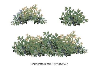 Set of ornamental green plant in the form of a hedge.Realistic garden shrub, seasonal bush, boxwood, tree crown bush foliage.For decorate of a park, a garden or a green fence.