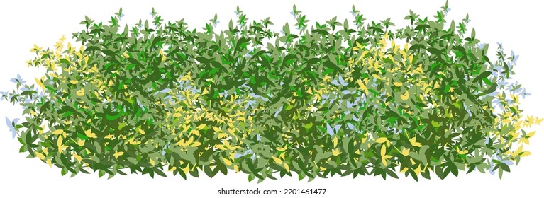 Set of ornamental green plant in the form of a hedge.Realistic garden shrub, seasonal bush, boxwood, tree crown bush foliage.For decorate of a park, a garden or a green fence.

