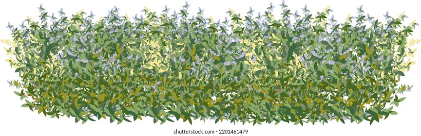 Set of ornamental green plant in the form of a hedge.Realistic garden shrub, seasonal bush, boxwood, tree crown bush foliage.For decorate of a park, a garden or a green fence.
