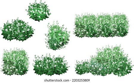 Set of ornamental green plant in the form of a hedge.Realistic garden shrub, seasonal bush, boxwood, tree crown bush foliage.For decorate of a park, a garden or a green fence.
