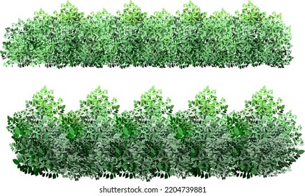 Set of ornamental green plant in the form of a hedge.Realistic garden shrub, seasonal bush, boxwood, tree crown bush foliage.For decorate of a park, a garden or a green fence.
