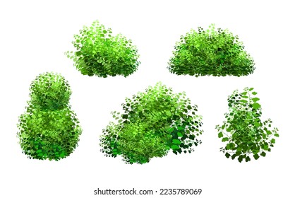 Set of ornamental green plant in the form of a hedge.Realistic garden shrub, seasonal bush, boxwood, tree crown bush foliage.For decorate of a park, a garden or a green fence.
