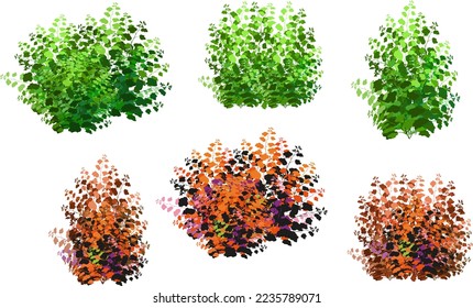 Set of ornamental green plant in the form of a hedge.Realistic garden shrub, seasonal bush, boxwood, tree crown bush foliage.For decorate of a park, a garden or a green fence.
