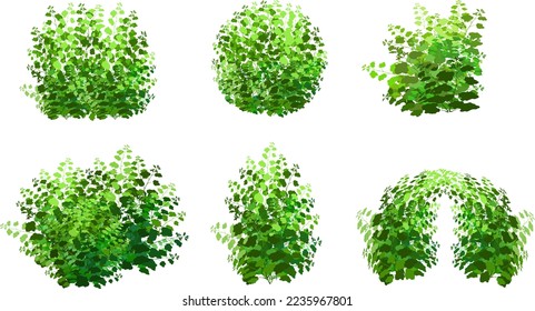Set of ornamental green plant in the form of a hedge.Realistic garden shrub, seasonal bush, boxwood, tree crown bush foliage.For decorate of a park, a garden or a green fence.
