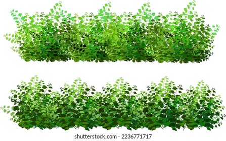 Set of ornamental green plant in the form of a hedge.Realistic garden shrub, seasonal bush, boxwood, tree crown bush foliage.For decorate of a park, a garden or a green fence.
