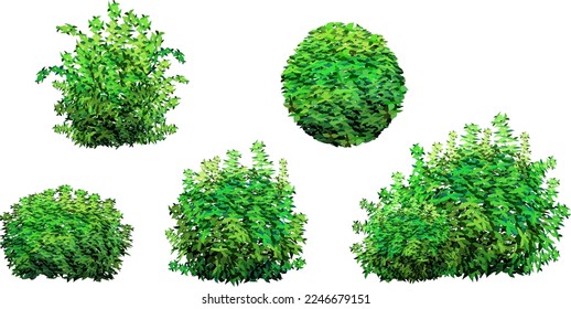 Set von Zierpflanzen in Form eines Hedge.Realistischer Gartenschreub, saisonaler Busch, Boxholz, Baumkronenwald.Für die Dekoration eines Parks, eines Gartens oder eines grünen Zaunes.
