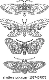 set of ornamental moth line drawing for coloring  page, decorative line drawing