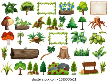 Set of ornamental plants illustration