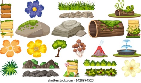 Set of ornamental plants illustration
