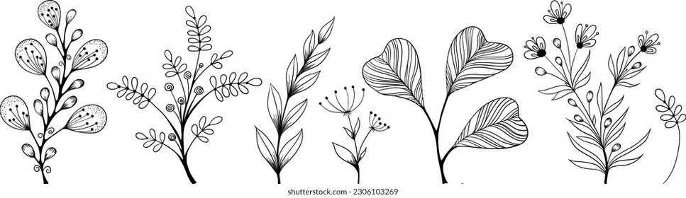 A set of ornamental plants. Vector file for designs.