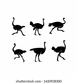 set ostrich black silhouette white background isolated logo icon design vector illustration