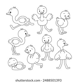 Set of Ostrich doodle collection, Ostrich outline coloring page or book animals for kindergarten, Vector line art set of animals wildlife, Hand drawn, Minimal Ostrich line art doodle in different pose