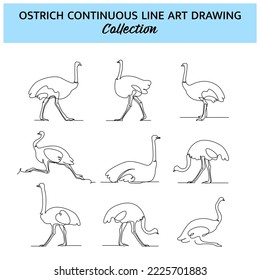 Set of ostrich line design. Simple animal silhouette decorative elements drawn with one continuous line. Vector illustration of minimalist style on white background.