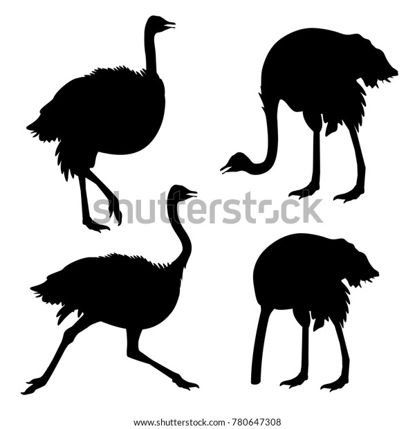 Set Ostrich Silhouettes Vector Illustration Isolated ...