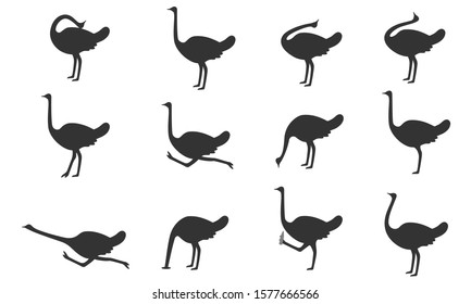 Set of ostriches in different poses. Flat icons. Vector illustration.