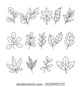 set of outline autumn leaves collection