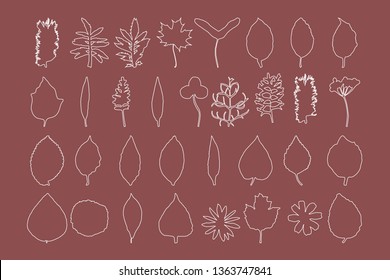 Set of outline autumn leaves. Vector icon illustration. Isolated silhouette.