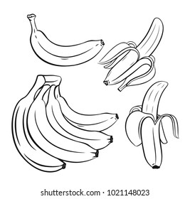 Set of outline Bananas. Vector black image