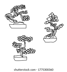 Set of outline bonsai, vector hand draw illustration, home plant in pot for design and creativity